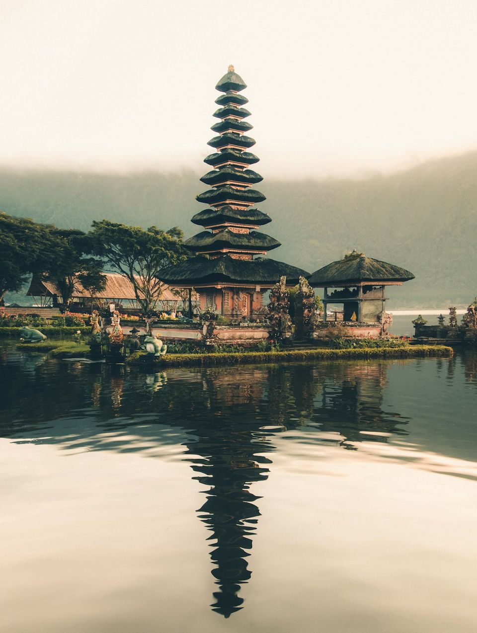Bali rice terraces in soft morning light